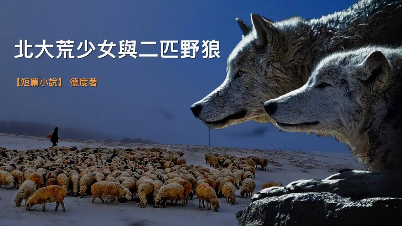 北大荒少女與二匹狼（獲獎作品）