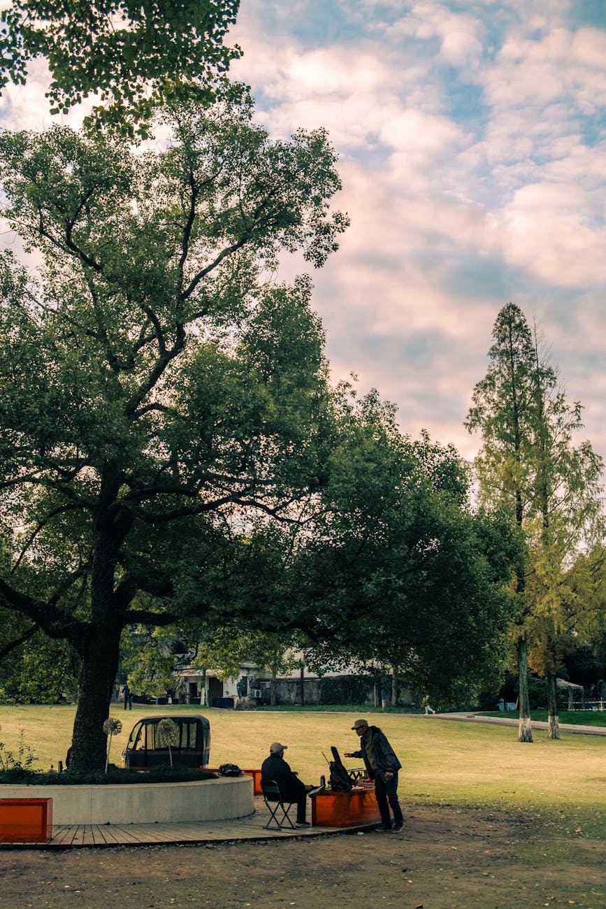 Photo by Cheng Shi Song | via Pexels | License: Pexels License | https://www.pexels.com/photo/tranquil-day-at-the-park-in-nanjing-china-34683720/