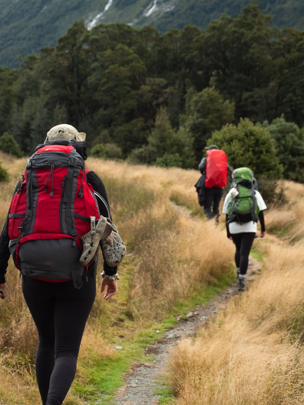Photo by Madison Paiement | via Pexels | License: Pexels License | https://www.pexels.com/photo/hikers-traversing-trail-in-south-island-nz-34833709/