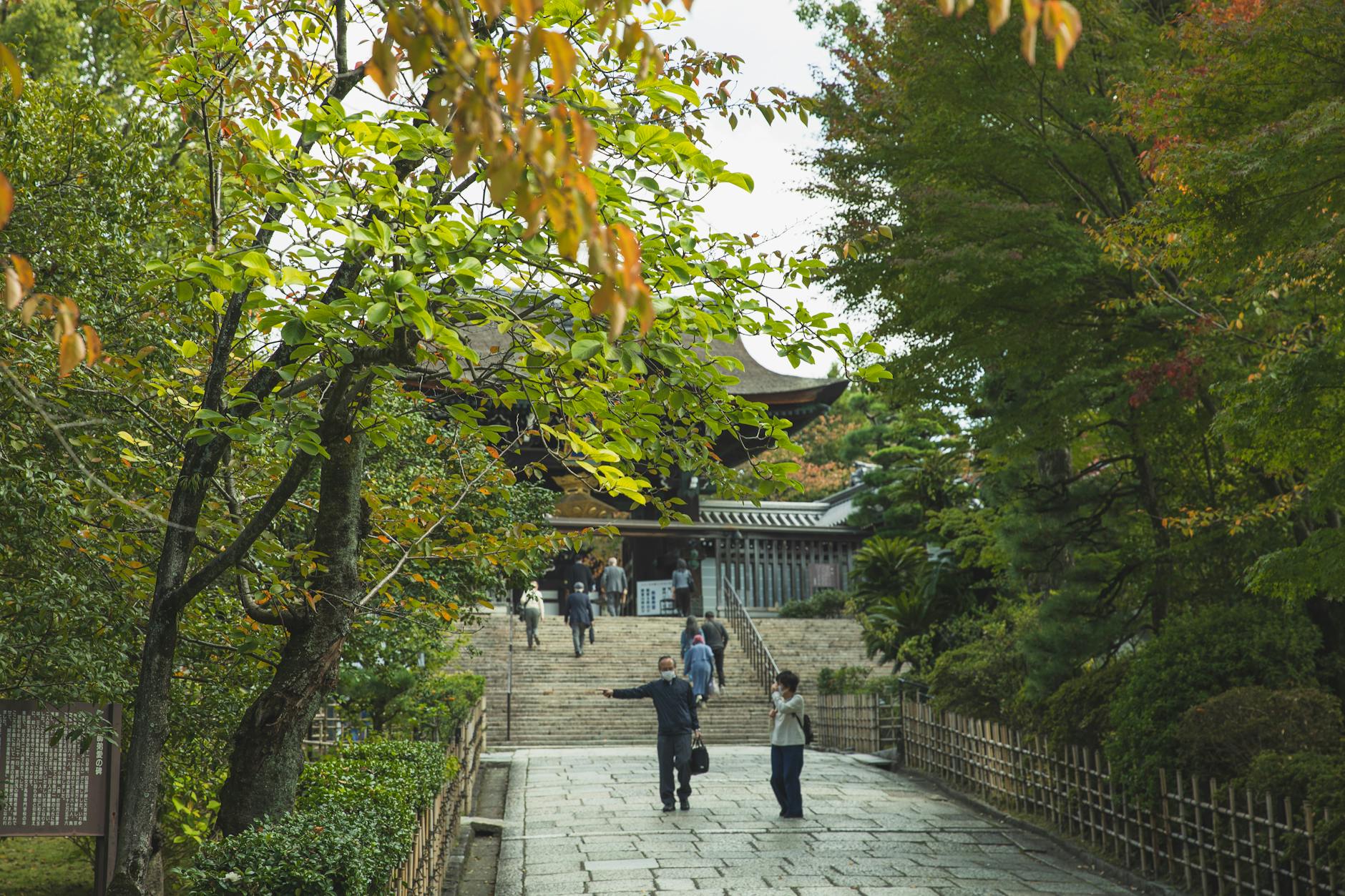 Photo by Ryutaro Tsukata | via Pexels | License: Pexels License | https://www.pexels.com/photo/traditional-shrine-behind-lush-trees-in-park-5745684/