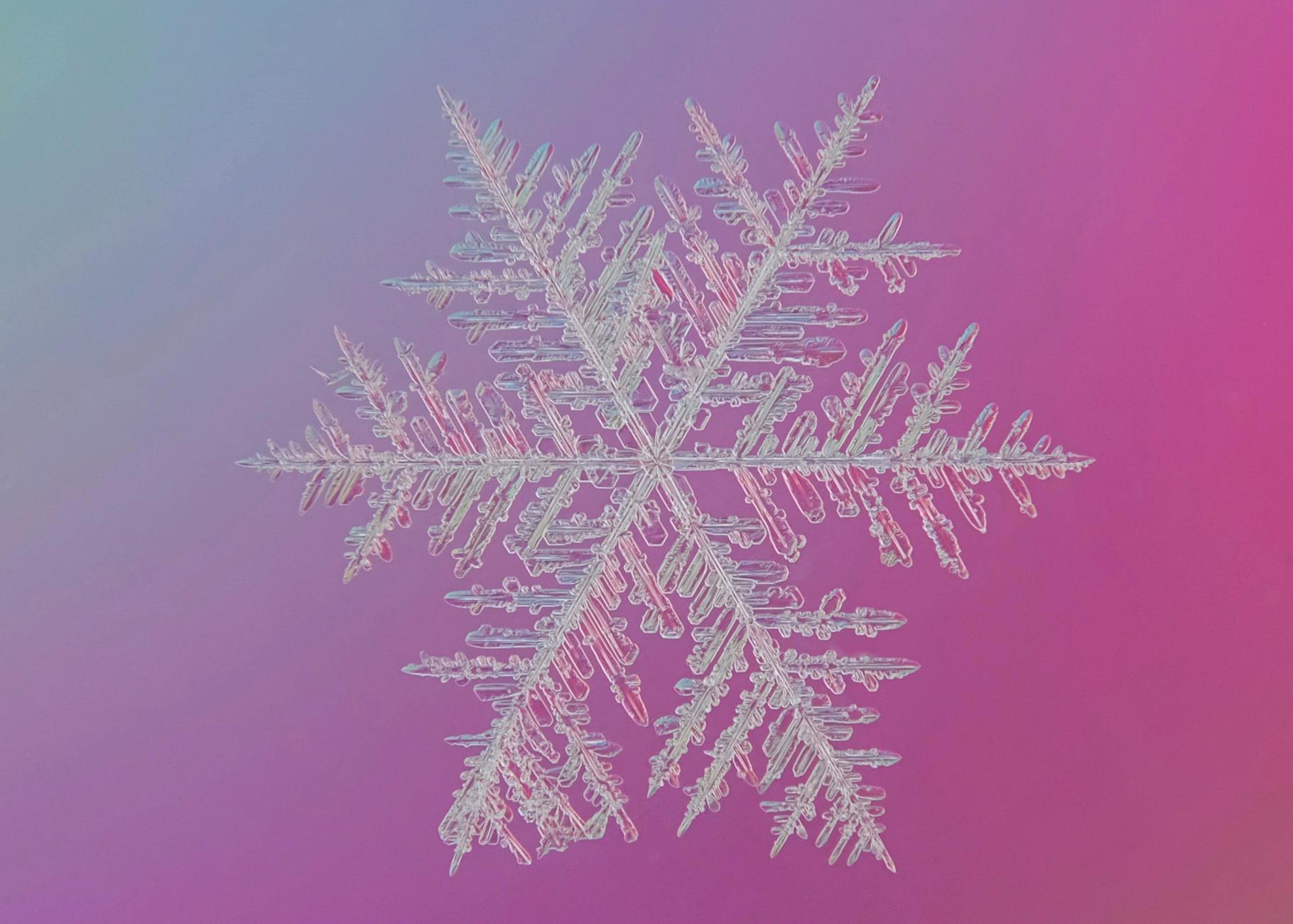 Photo by Kristin Morgan | via Pexels | License: Pexels License | https://www.pexels.com/photo/macro-shot-of-a-real-snowflake-on-vibrant-background-34998576/