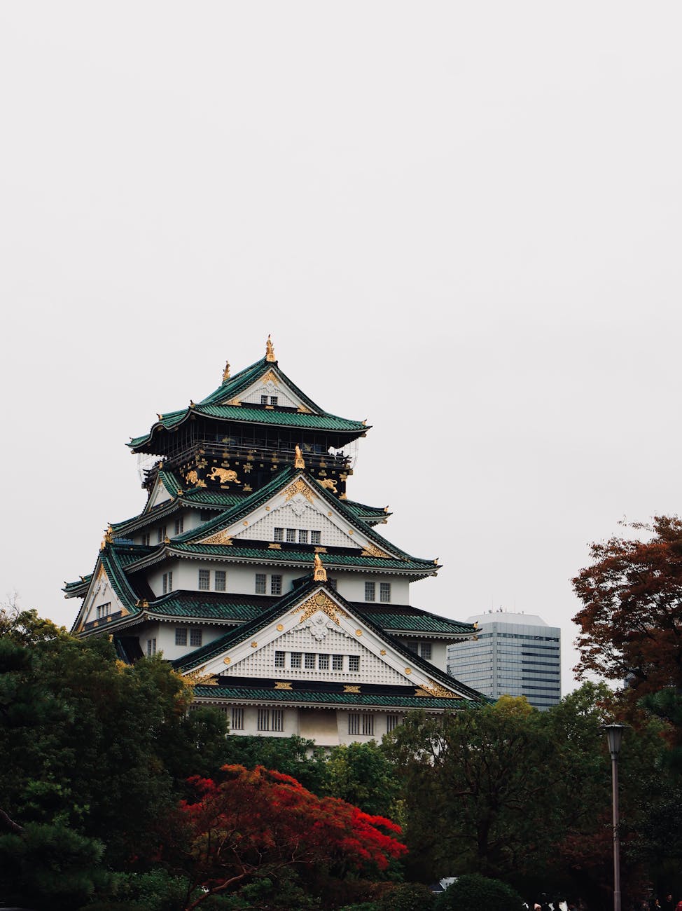 Photo by Zhengyang Ru | via Pexels | License: Pexels License | https://www.pexels.com/photo/majestic-osaka-castle-surrounded-by-autumn-foliage-35170646/