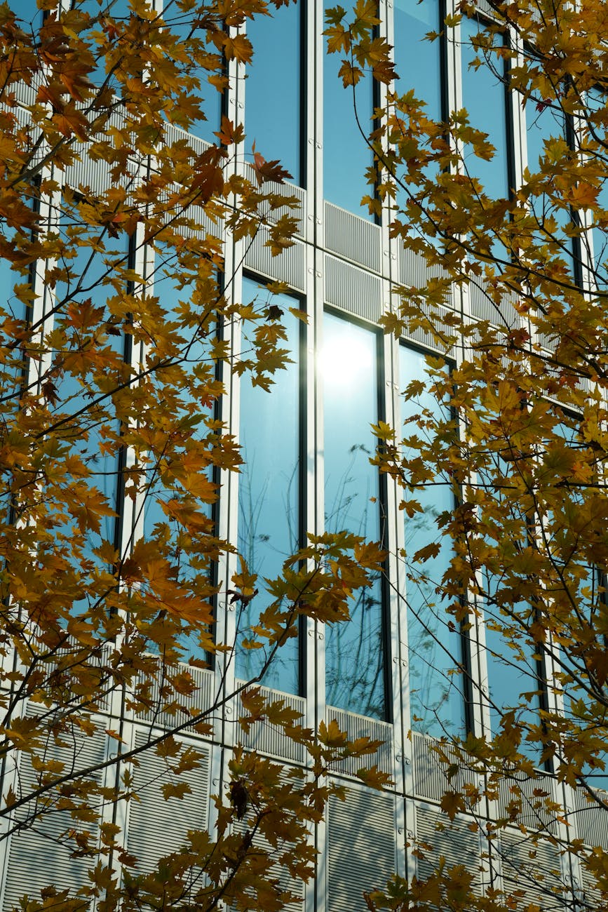 Photo by Leila Chen | via Pexels | License: Pexels License | https://www.pexels.com/photo/urban-autumn-scene-with-modern-architecture-35262575/