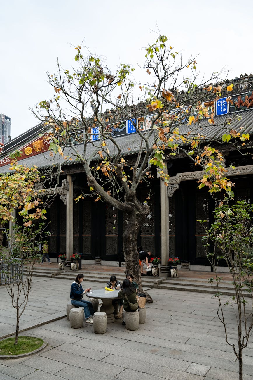 Photo by Bingqian Li | via Pexels | License: Pexels License | https://www.pexels.com/photo/visitors-relaxing-under-tree-at-guangzhou-temple-35272176/