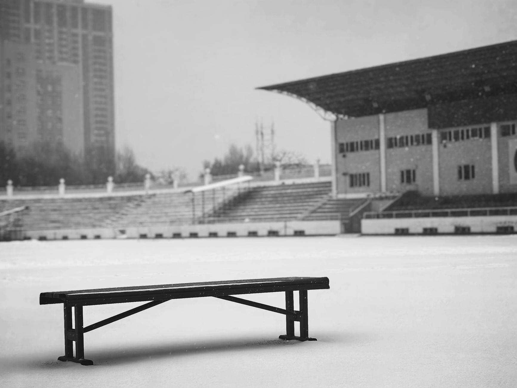Photo by BingYe 39 | via Pexels | License: Pexels License | https://www.pexels.com/photo/snow-covered-stadium-bench-in-harbin-35344863/