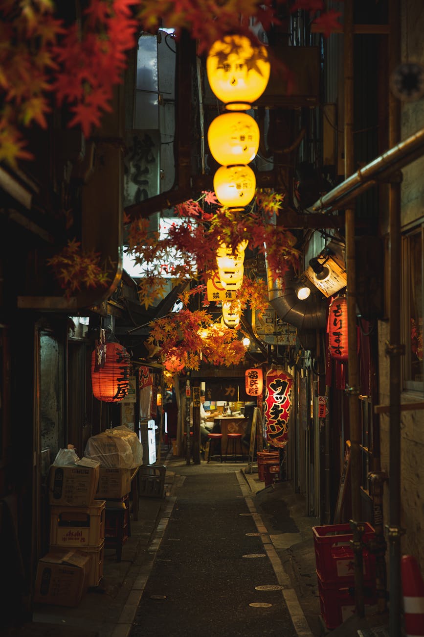 Photo by Ryutaro Tsukata | via Pexels | License: Pexels License | https://www.pexels.com/photo/an-illuminated-lanterns-on-the-street-5745029/