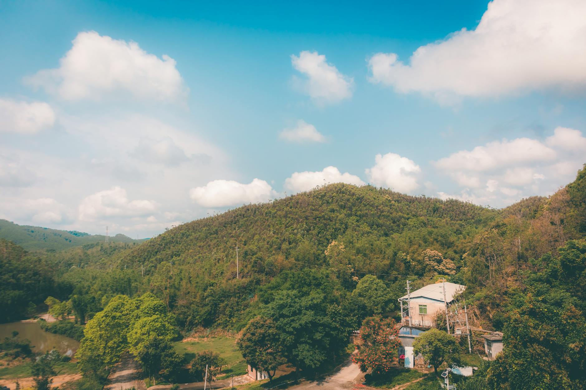 失信變禍：一樁村落的因果故事